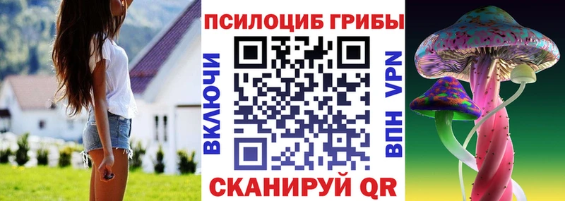 Псилоцибиновые грибы мицелий Красноармейск