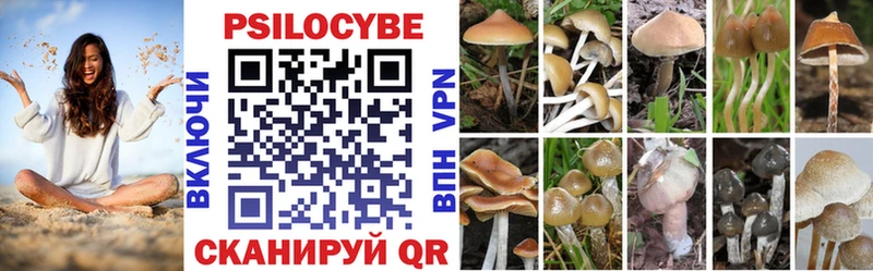 купить  сайты  Красноармейск  Галлюциногенные грибы ЛСД 